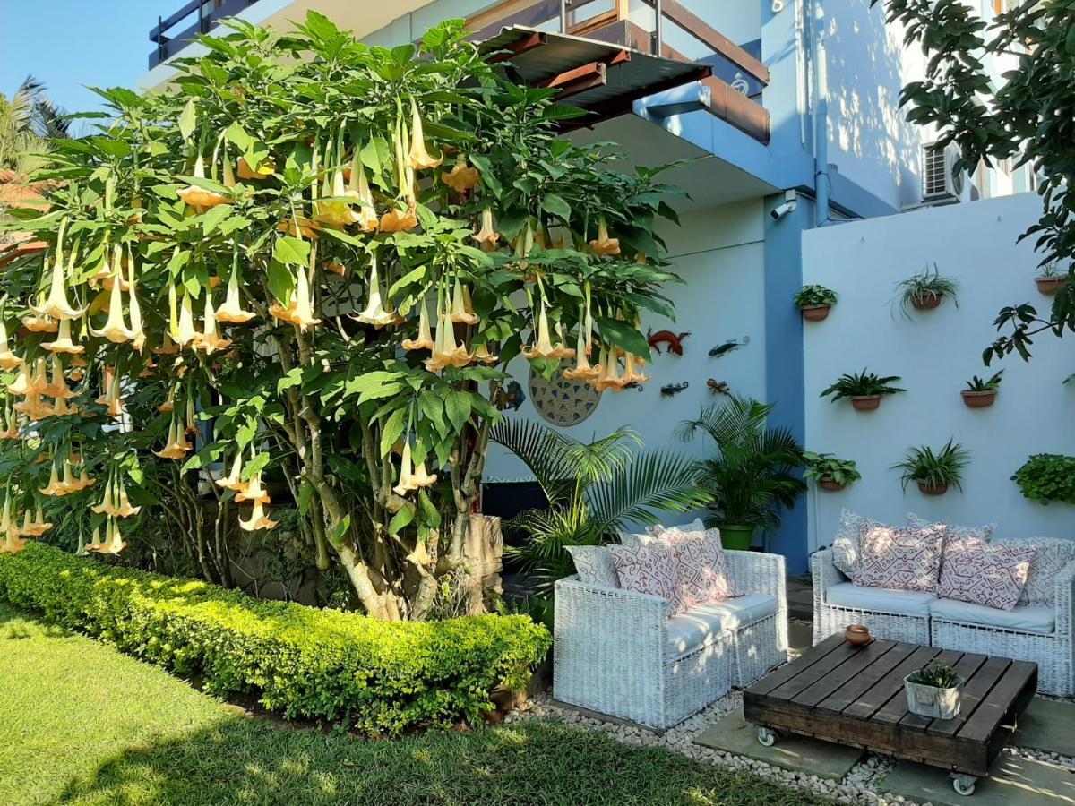 Figtree Guesthouse Maputo Exterior foto