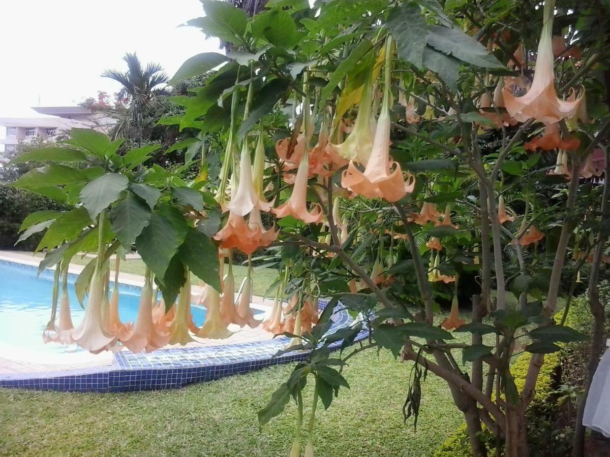 Figtree Guesthouse Maputo Exterior foto