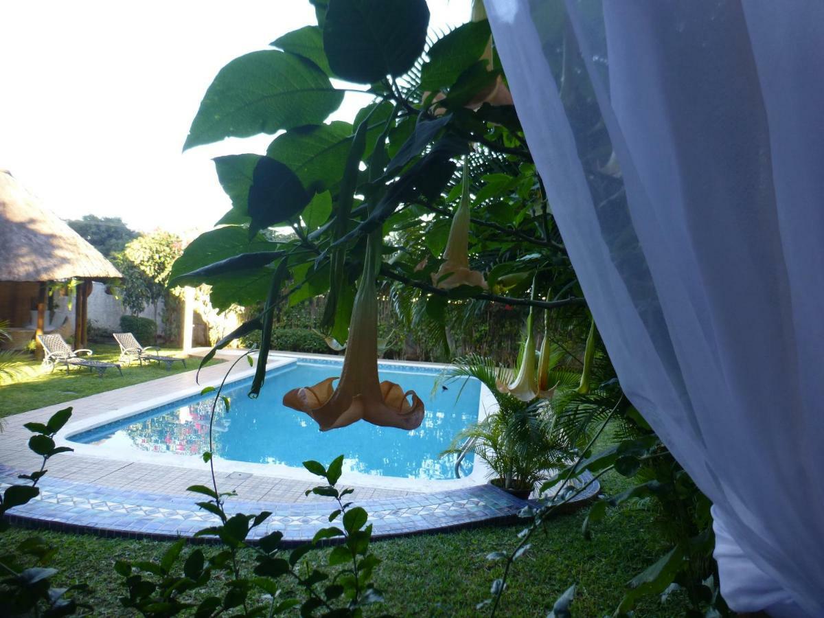 Figtree Guesthouse Maputo Exterior foto